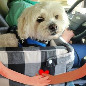 Meet your Posher, Lori